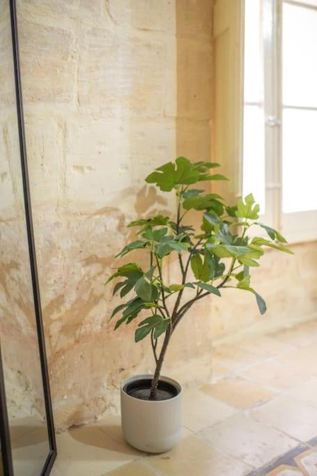 Chic, Stylish & Spacious Flat In Central Valletta Luaran gambar